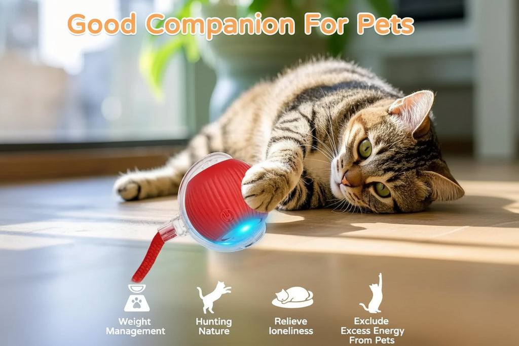  - Balle Connectée Rechargeable Pour Chat Et Chien 